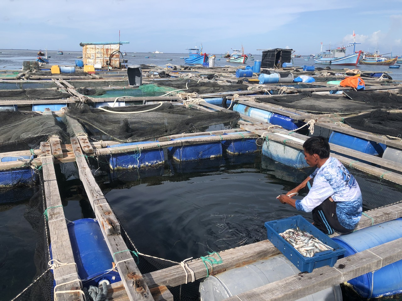 Nông dân xứ đảo ở Bình Thuận phát động thi đua sản xuất kinh doanh giỏi, đoàn kết giúp nhau làm giàu - Ảnh 1.