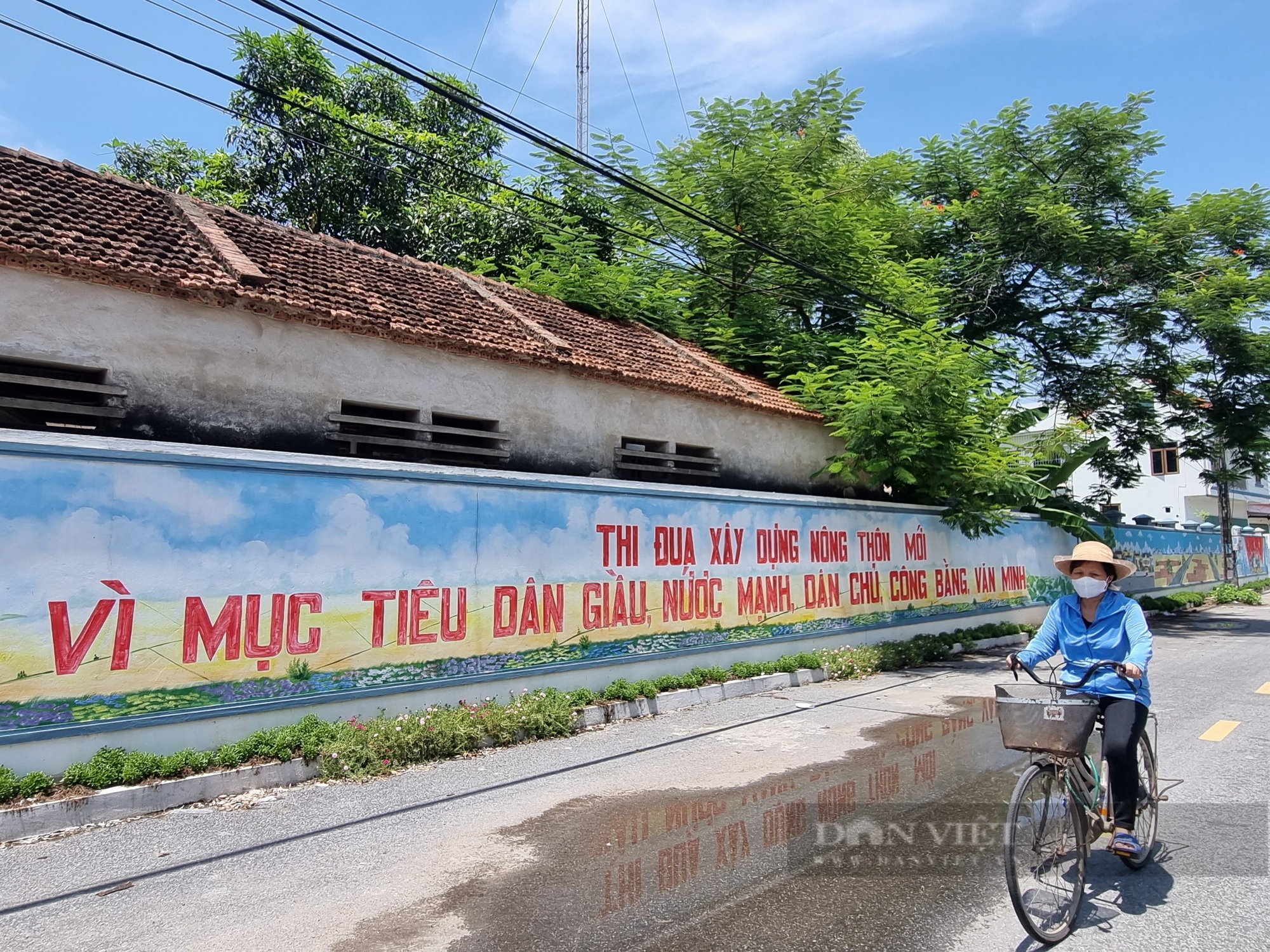 Ninh Bình: Đề nghị Trung ương công nhận hoàn thành nhiệm vụ nông thôn mới- Ảnh 3.