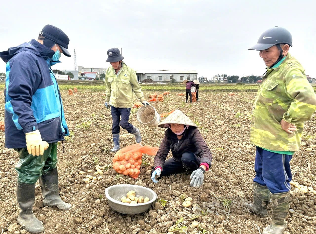 Ninh Bình: Đề nghị Trung ương công nhận hoàn thành nhiệm vụ nông thôn mới- Ảnh 7.