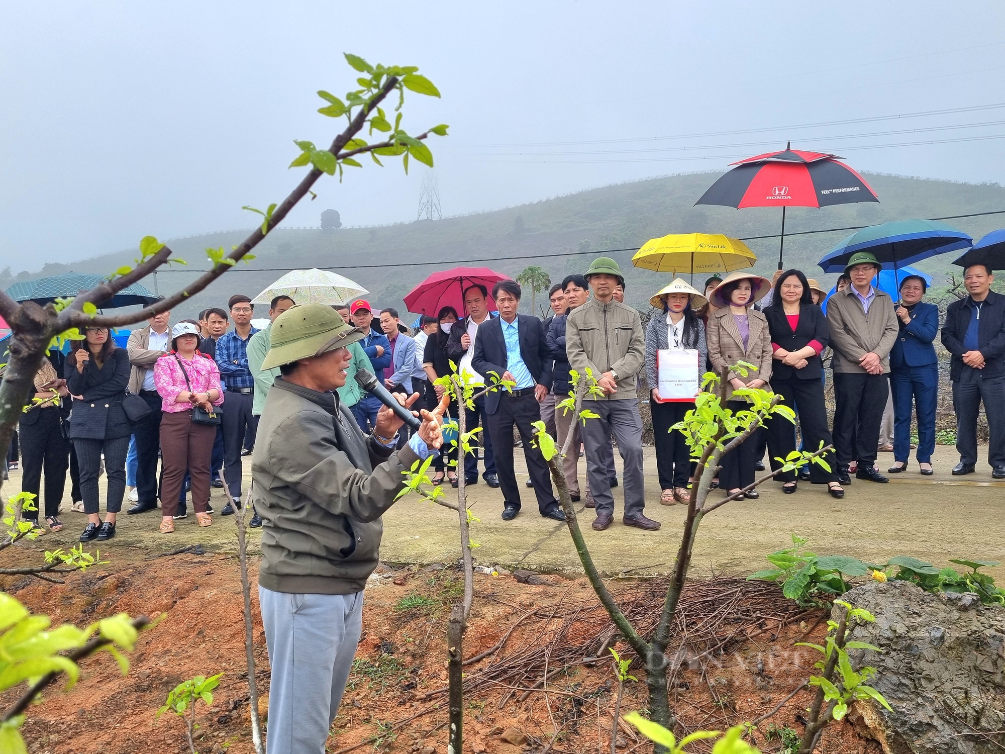 Giảm nghèo ở Ninh Bình, đồng bào dân tộc Mường gây dựng mô hình sản xuất mới - Ảnh 3.