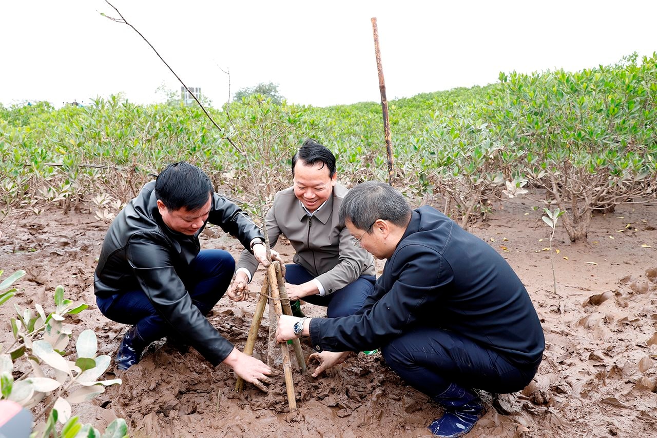 small_20250104_bt-trong-cay-thai-binh_1.jpg