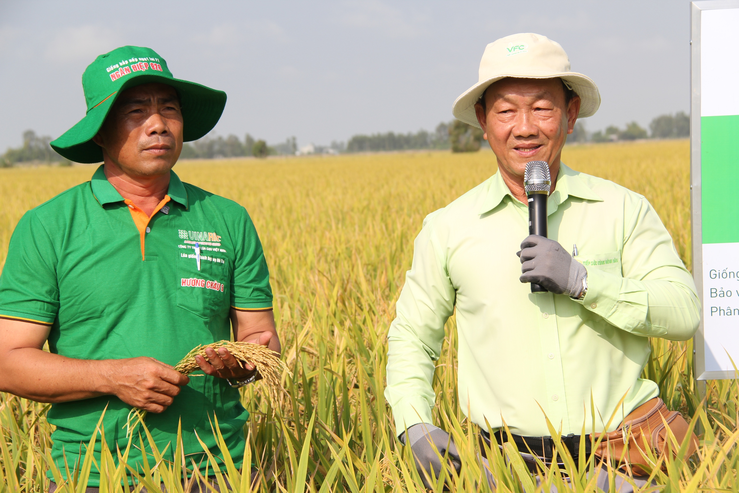 Cách anh nông dân Đồng Tháp trồng lúa đạt lợi nhuận gần 34 triệu đồng/ha trong khi nông dân kế bên chỉ 23,1 triệu đồng - Ảnh 2.