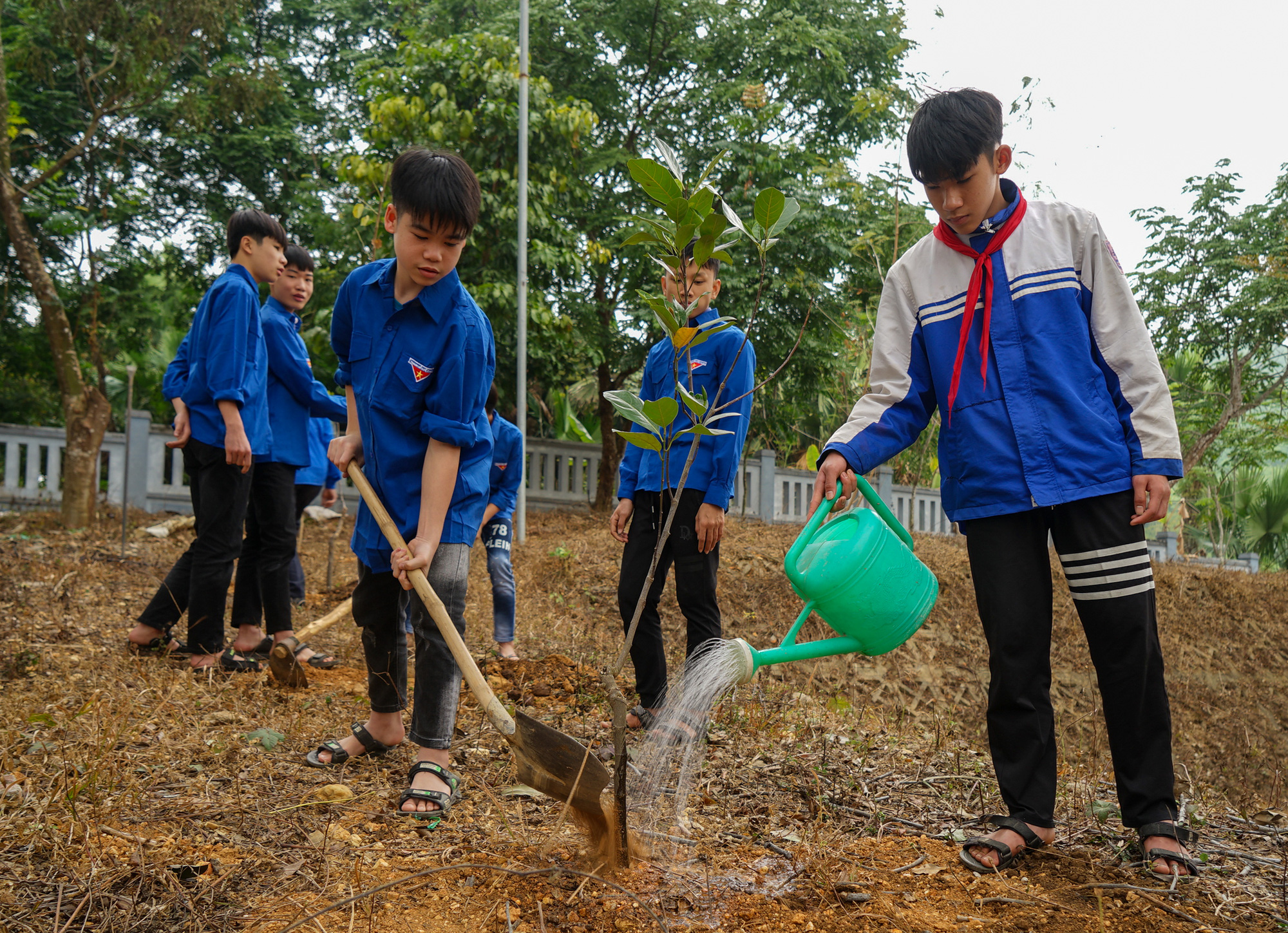 Hưởng ứng Tết trồng cây, hỗ trợ trồng 20ha rừng - Ảnh 1.