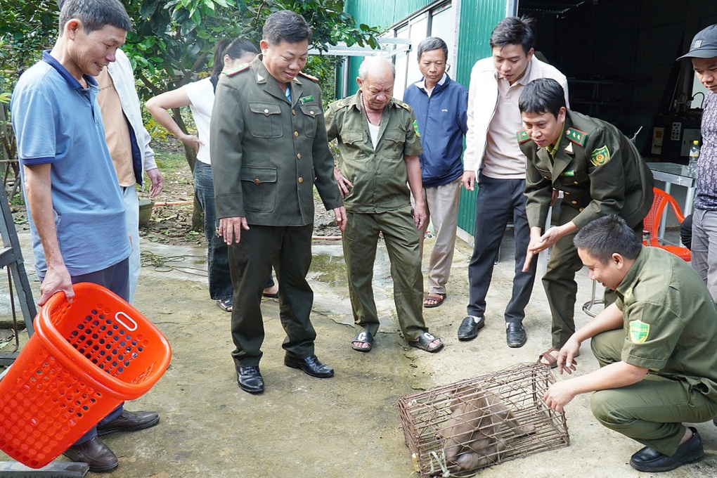 Khỉ đi lạc quậy phá khu dân cư - 1