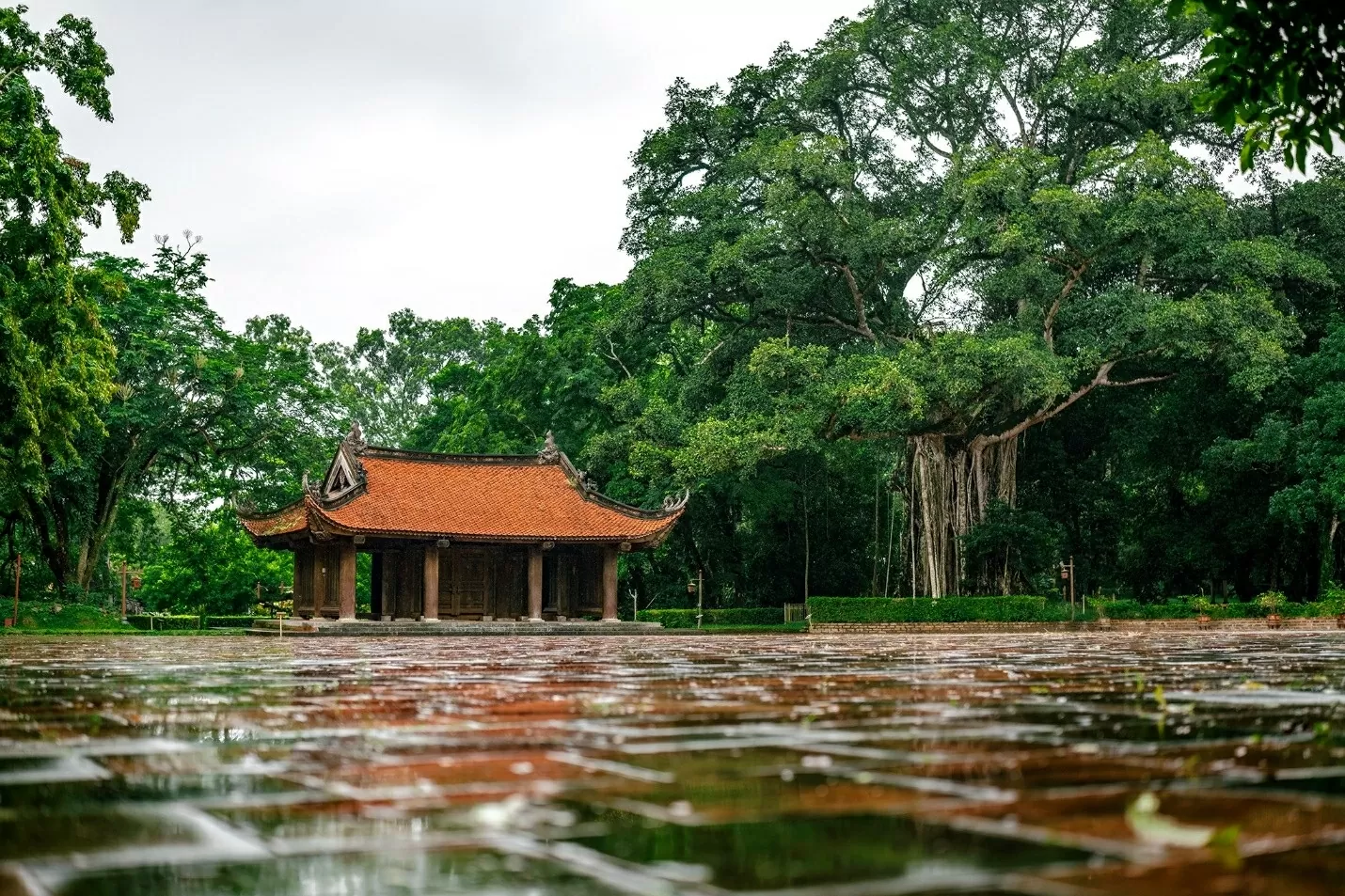 Một góc Lam Kinh “xanh”cổ kínhvà rêu phong  