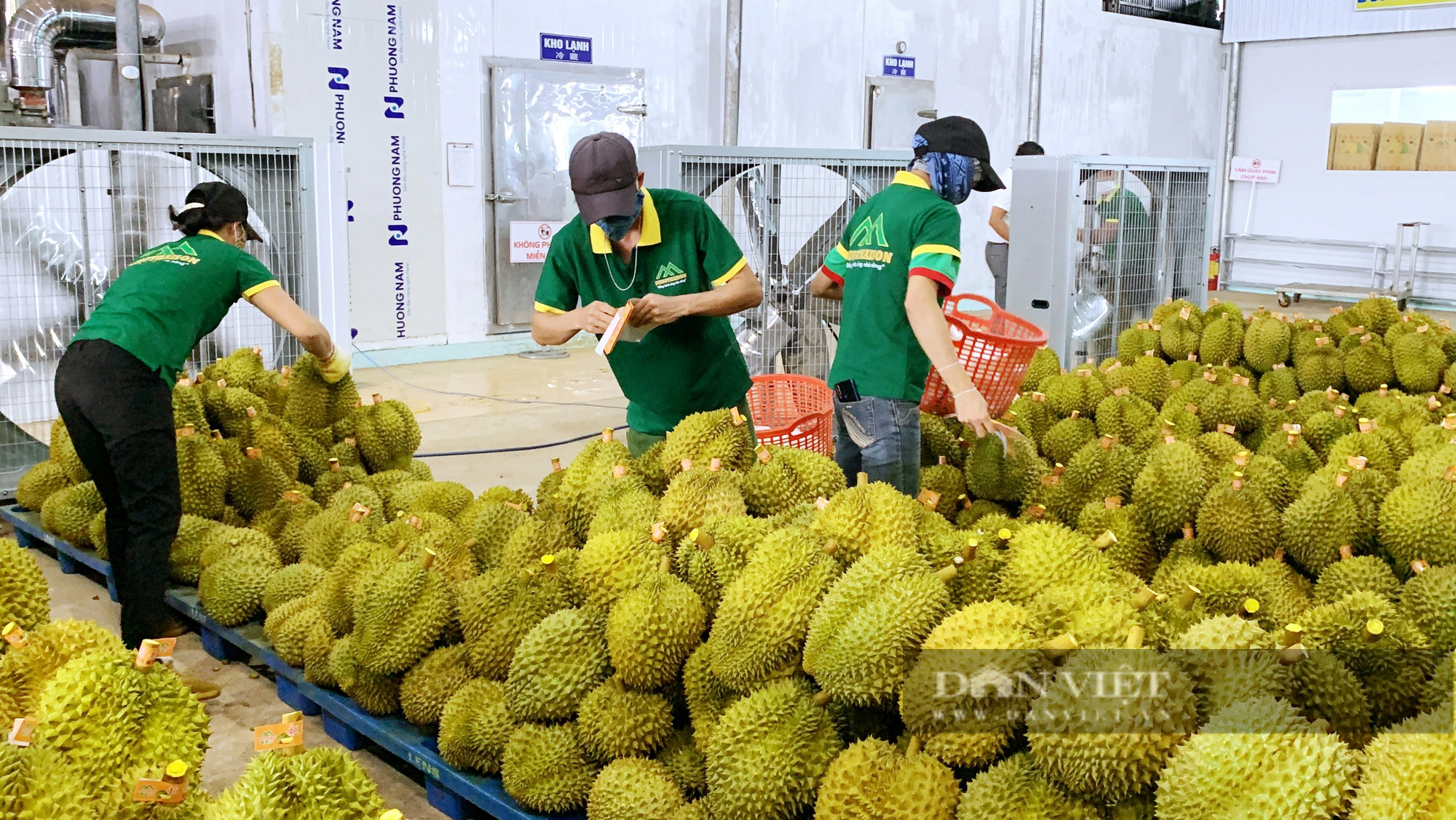 Kinh tế Đắk Nông khởi sắc, đời sống người dân nâng cao nhờ phát triển nông nghiệp và bảo tồn văn hóa - Ảnh 1.