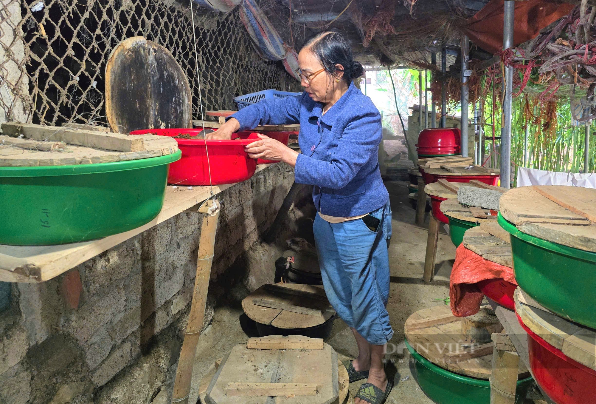 Dân bản nuôi con mình tròn mẩy, cả ngày chỉ ngọ nguậy, ăn béo ngậy, khách tìm đến tận nhà để mua - Ảnh 1.