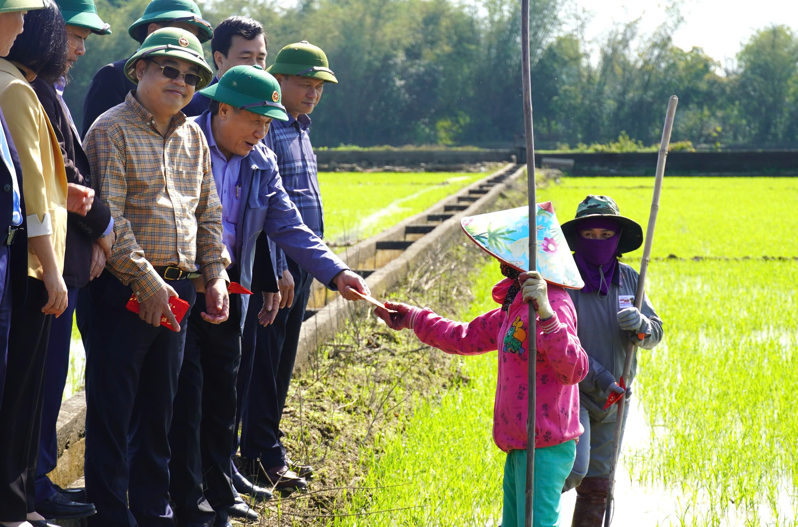 Nông dân Quảng Trị nhận bao lì xì ngay giữa đồng ruộng- Ảnh 1.