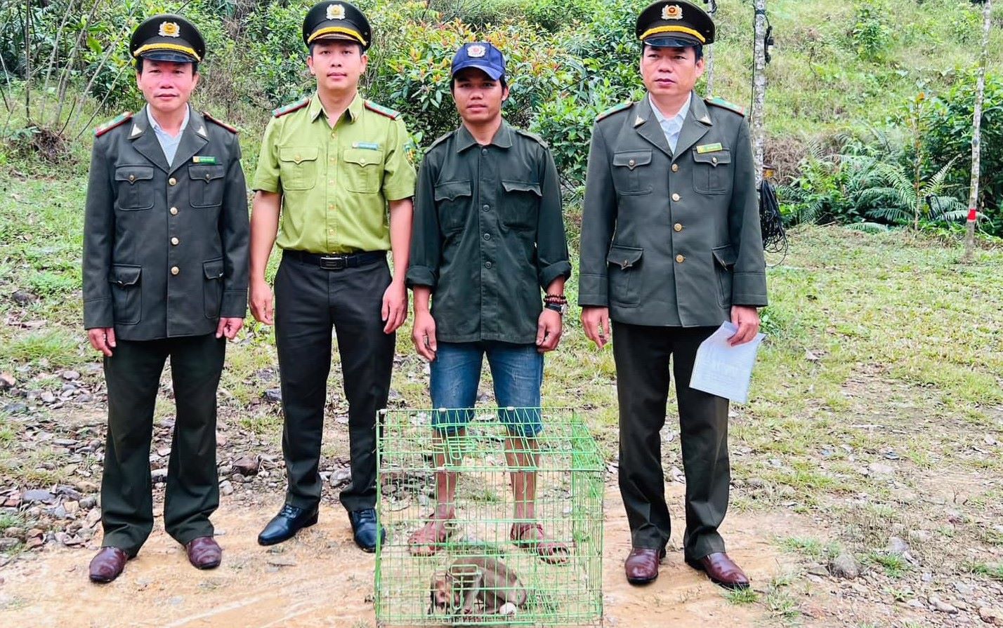 Phát hiện động vật hoang dã có tên trong sách Đỏ bị thương, người đàn ông bắt đem nộp cho kiểm lâm  - Ảnh 1.