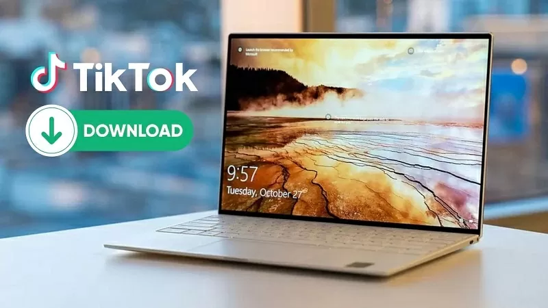 Tải video TikTok không logo về máy tính với vài thao tác đơn giản