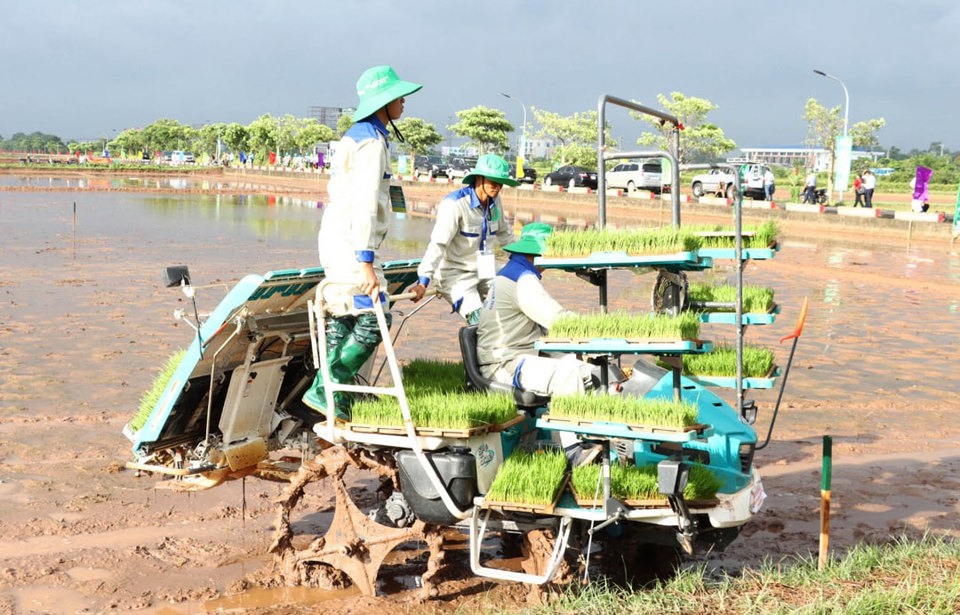 Ứng dụng mạ khay máy cấy trong gieo cấy lúa tại xã Nam Phong (huyện Phú Xuyên). Ảnh: Thu Phượng