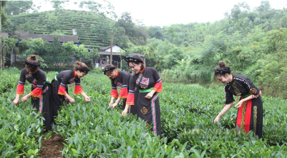 Thái Nguyên đầu tư trên 1.100 tỷ đồng cho phát triển vùng đồng bào dân tộc thiểu số và miền núi - Ảnh 1.