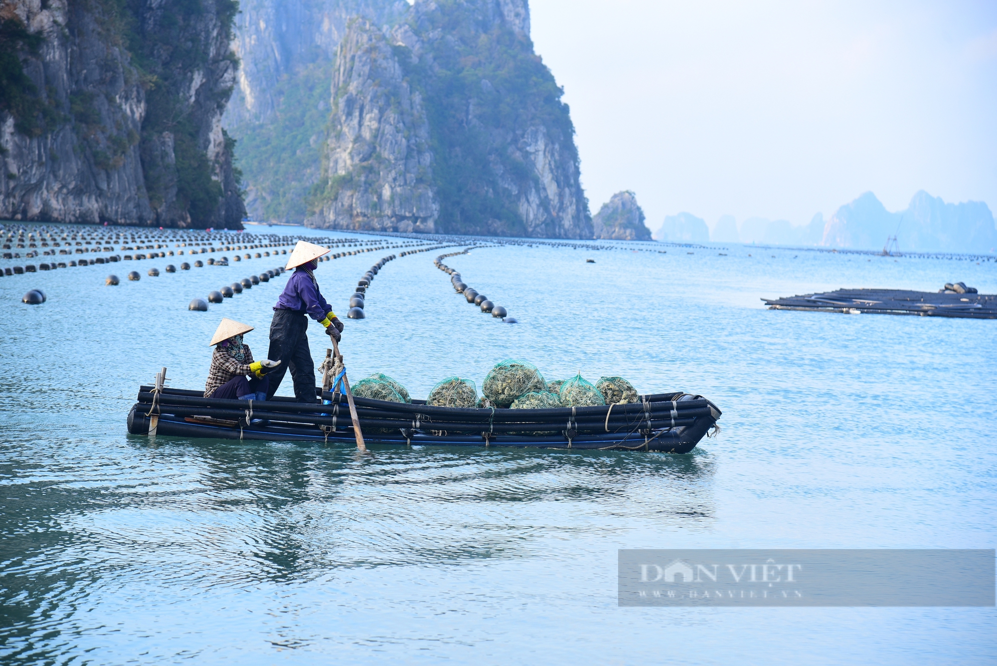 Sức sống mới ở Vân Đồn - Ảnh 3.