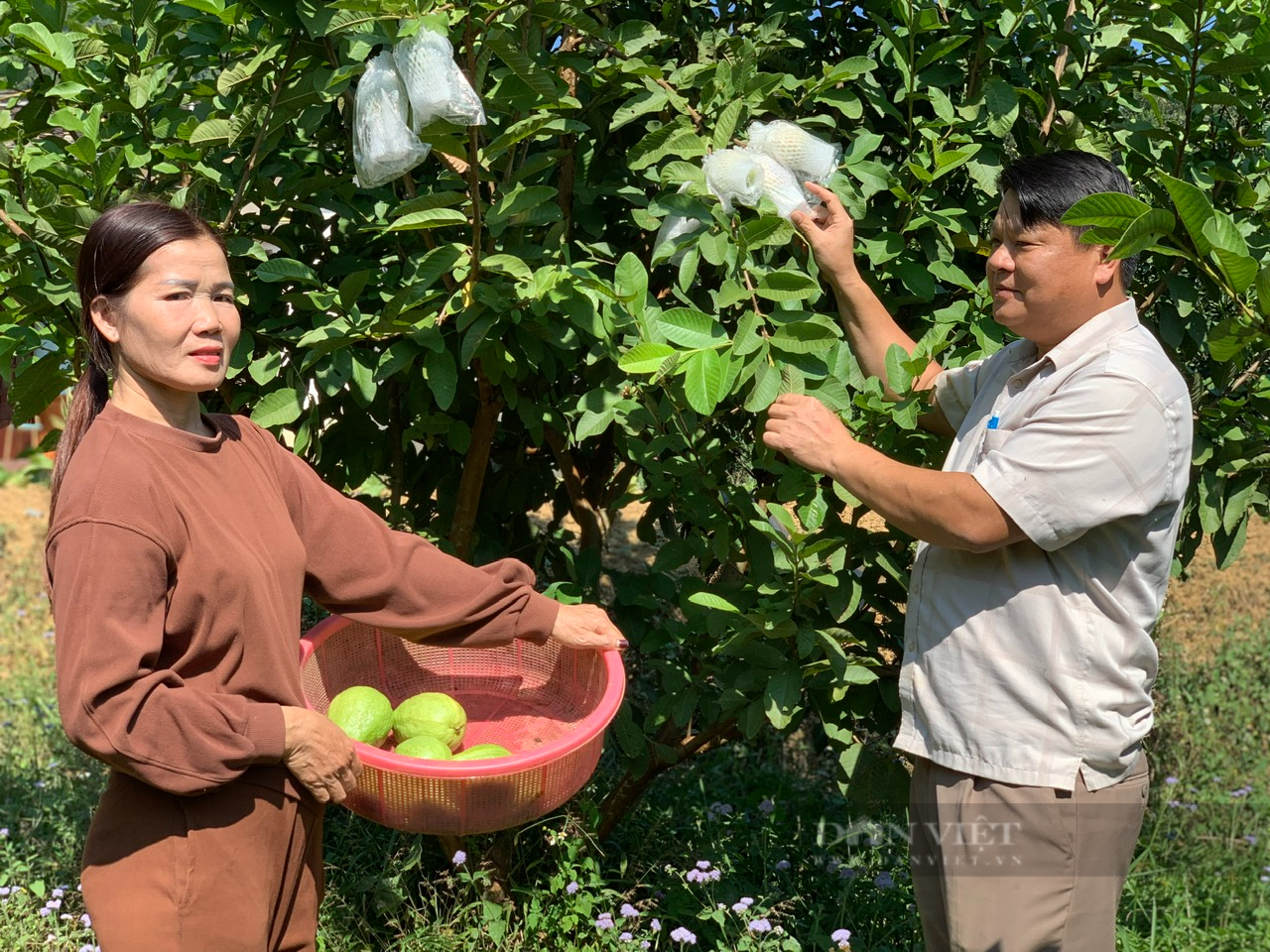 Giảm nghèo Lạng Sơn, xây dựng nhiều mô hình đặc sản, một huyện có 97% đồng bào dân tộc thiểu số giảm mạnh hộ nghèo - Ảnh 1.