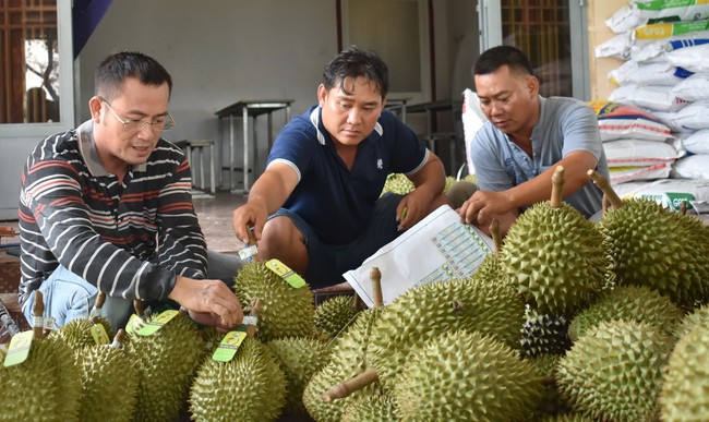 Xuất khẩu rau quả giảm 5,2%, chuyên gia hiến kế để các quả đặc sản Việt Nam bán tốt sang Trung Quốc- Ảnh 1.