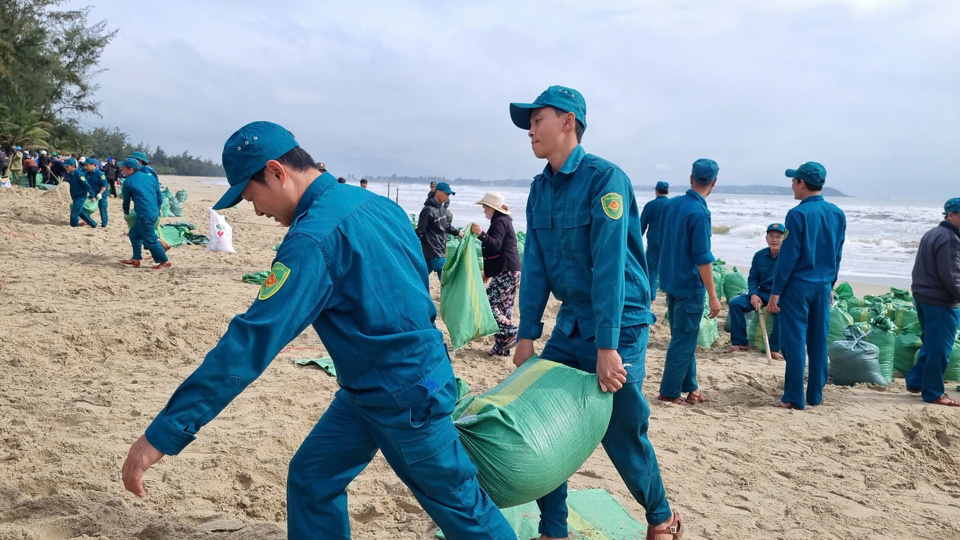 Lực lượng dân quân tham gia làm kè cát.