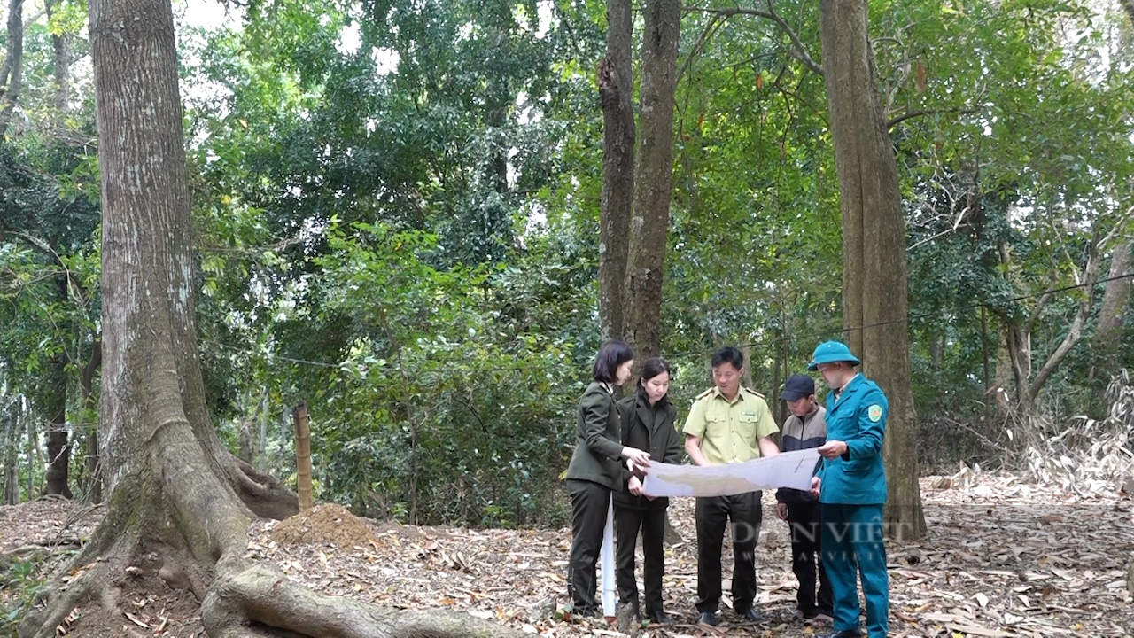 Sơn La: Ký cam kết thực hiện quản lý, bảo vệ phát triển rừng, nâng tỷ lệ che phủ rừng năm 2025 đạt 48,0% - Ảnh 6.