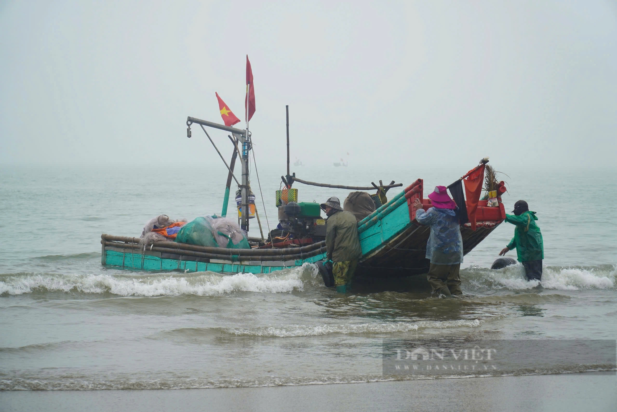 Ngư dân Thanh Hóa trúng đậm loài cá dồi dào dinh dưỡng, lên bờ thương lái tranh nhau mua- Ảnh 2.