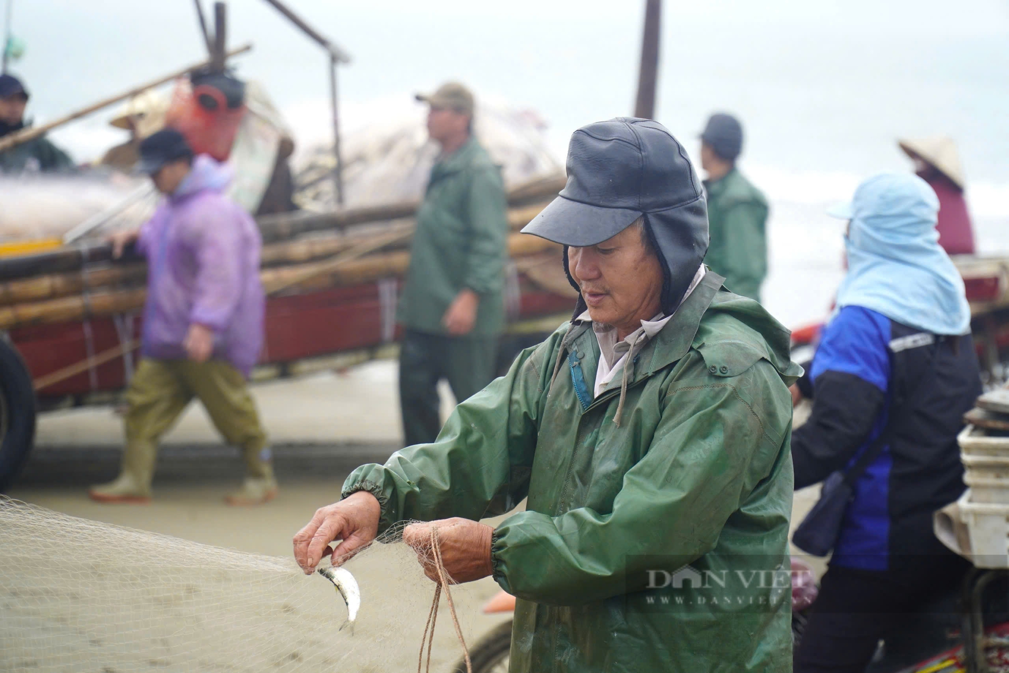 Ngư dân Thanh Hóa trúng đậm loài cá dồi dào dinh dưỡng, lên bờ thương lái tranh nhau mua- Ảnh 5.