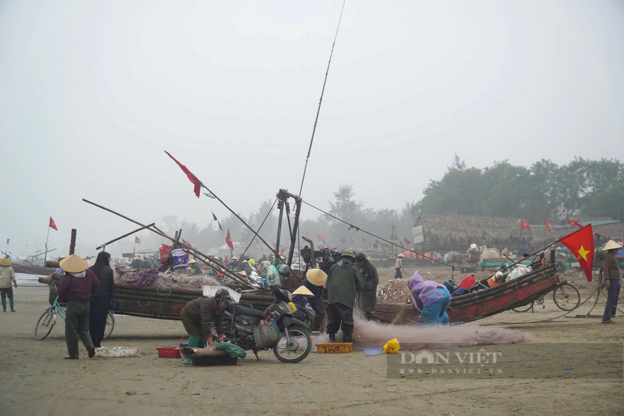 Ngư dân Thanh Hóa trúng đậm loài cá dồi dào dinh dưỡng, lên bờ thương lái tranh nhau mua- Ảnh 9.