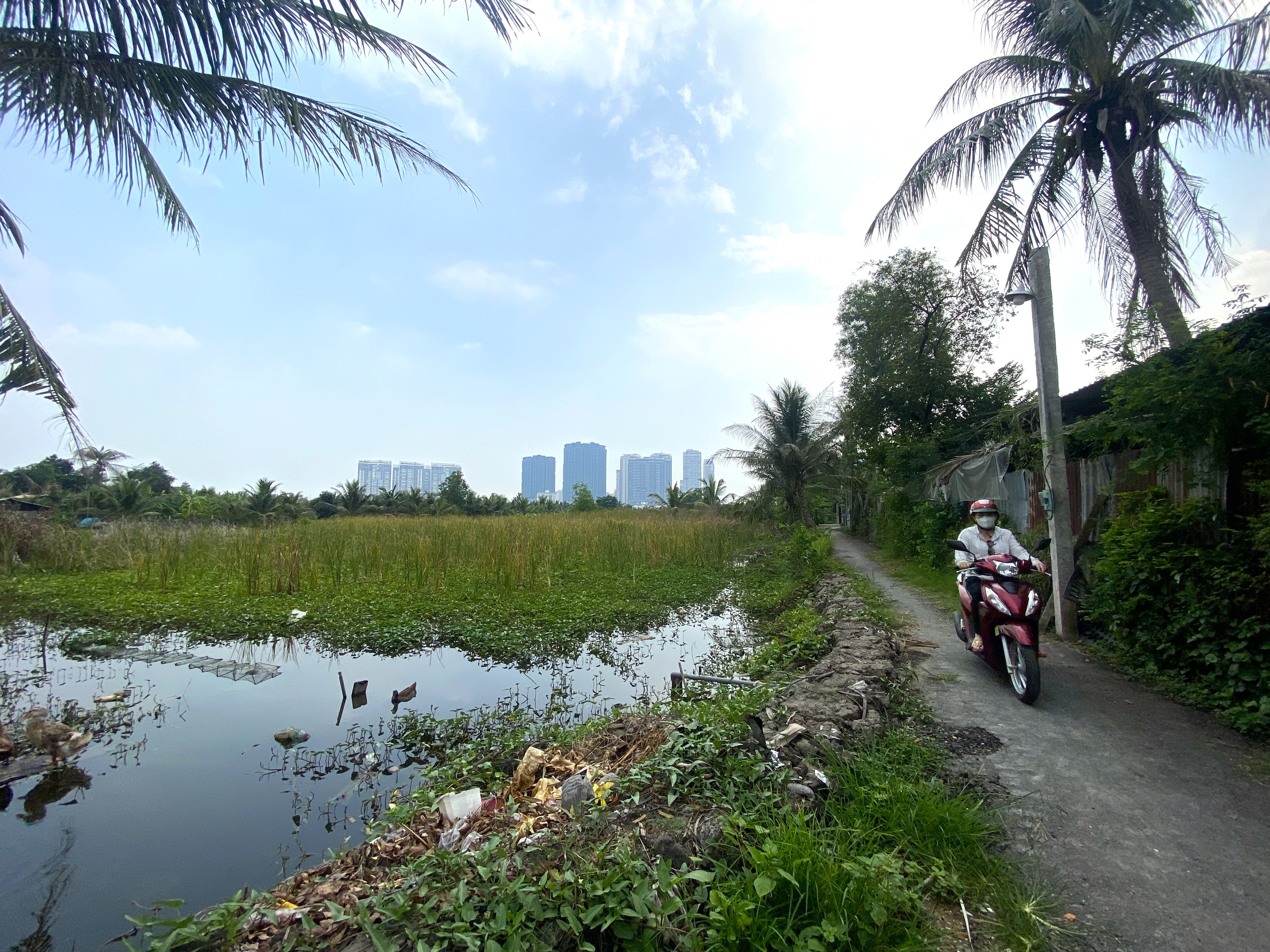 Hình ảnh bán đảo Bình Quới - Thanh Đa chờ làn gió mới- Ảnh 5.