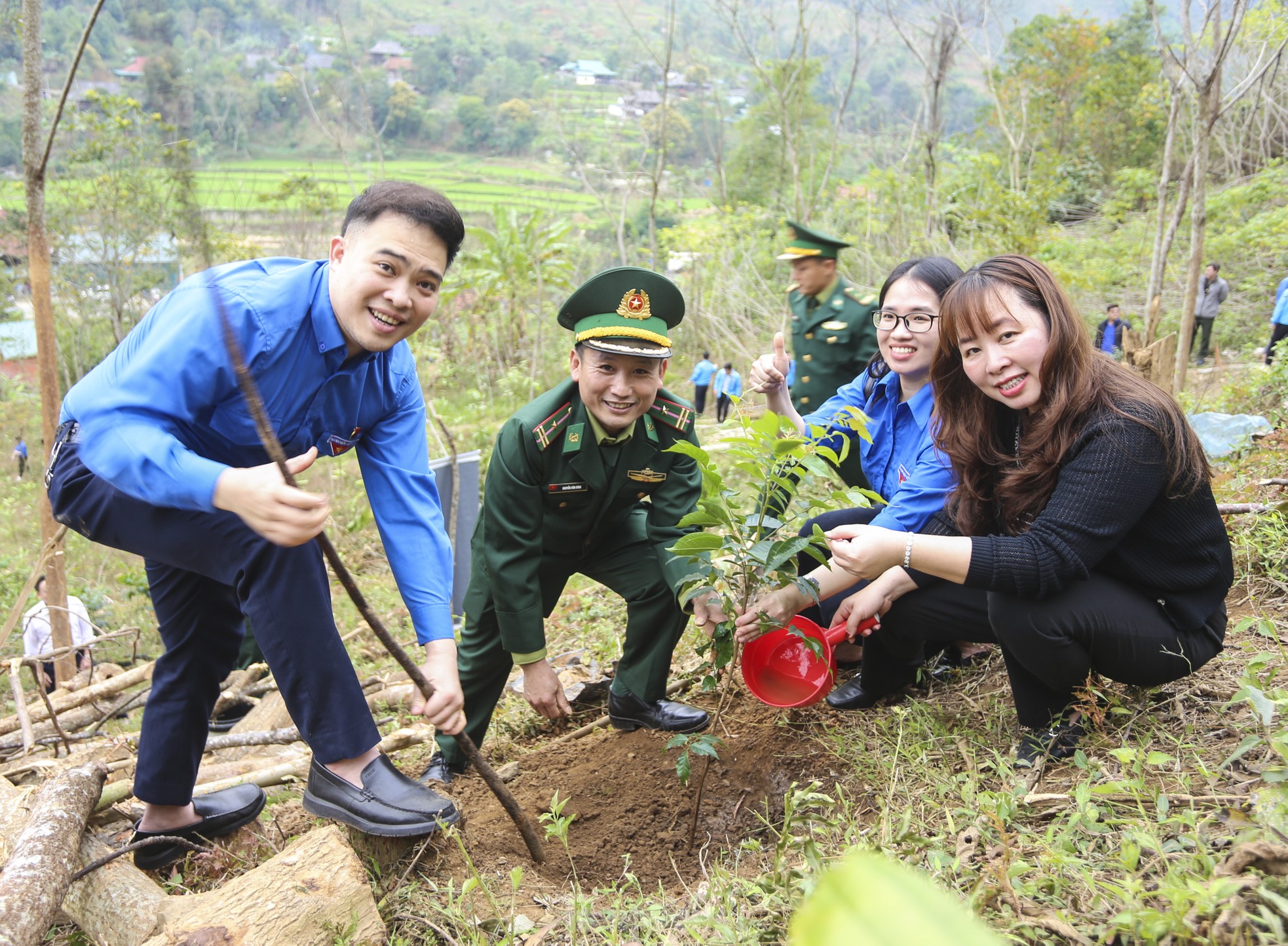 Mô hình sinh kế trồng cây lát hoa cho người dân vùng biên xứ Nghệ ảnh 7