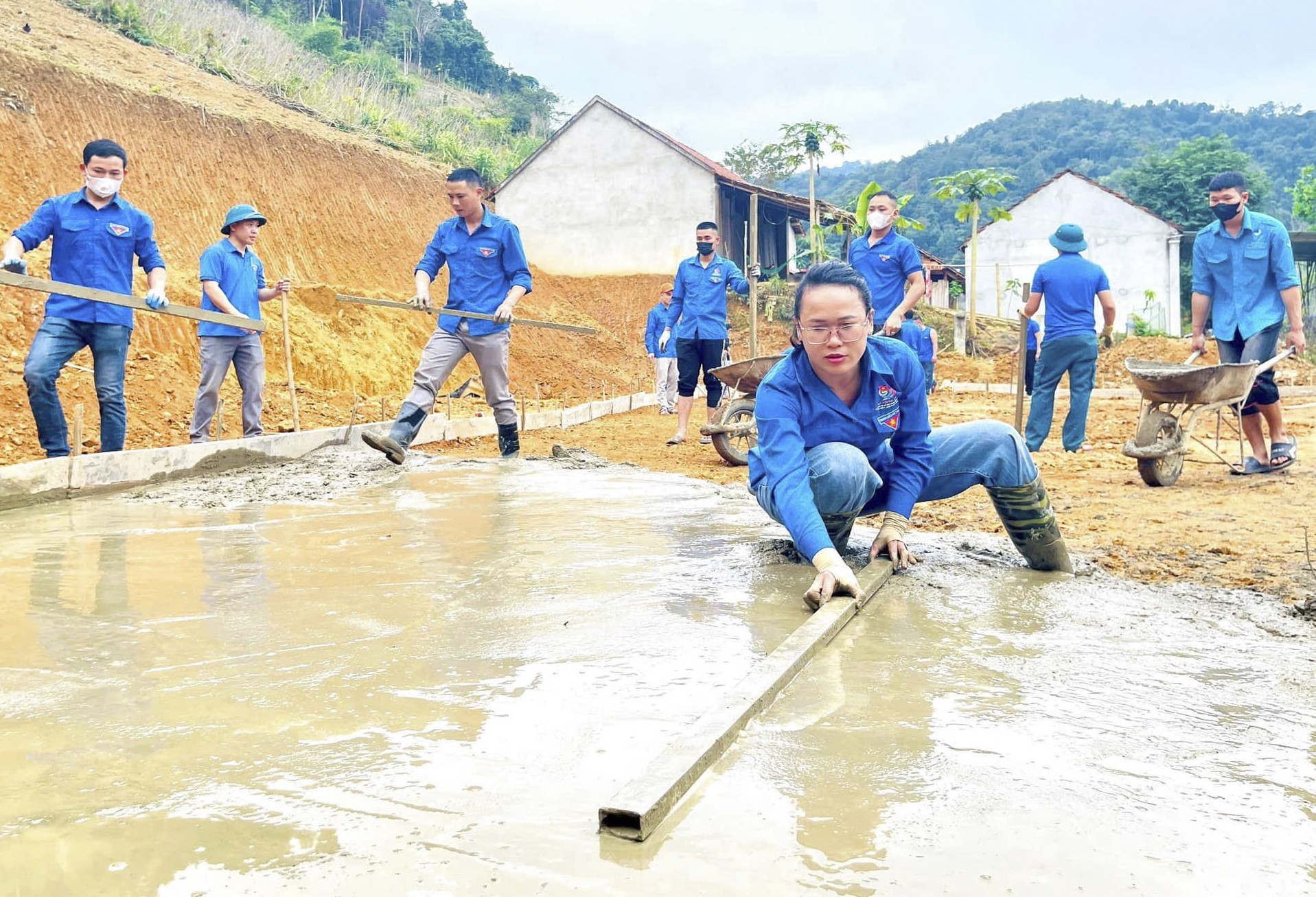 Mô hình sinh kế trồng cây lát hoa cho người dân vùng biên xứ Nghệ ảnh 14