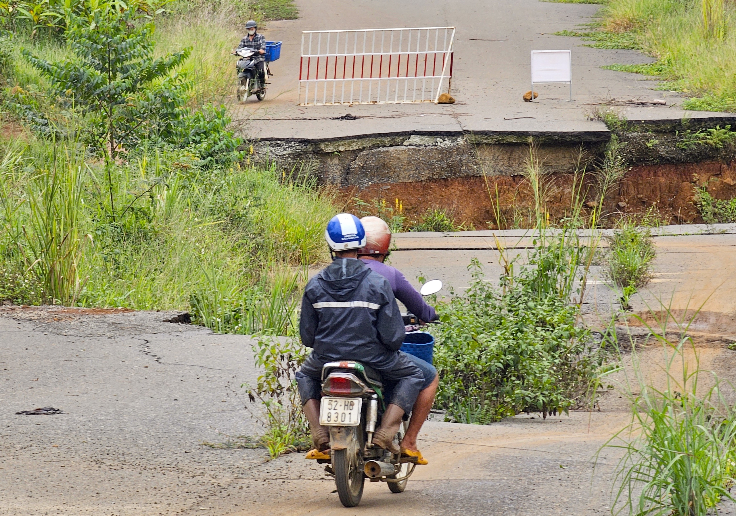 “Hồi sinh “Hồi sinh