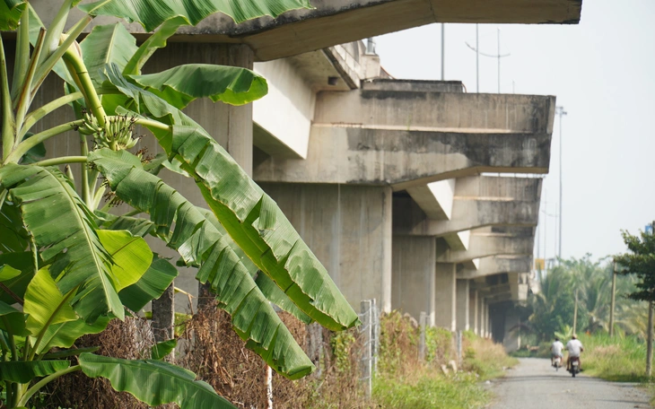 Chính phủ họp bàn giải pháp làm cao tốc cầu cạn do doanh nghiệp đề xuất - Ảnh 2.