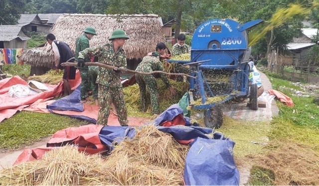 Bộ đội biên phòng tỉnh Quảng Bình giúp đồng bào Chứt thu hoạch lúa