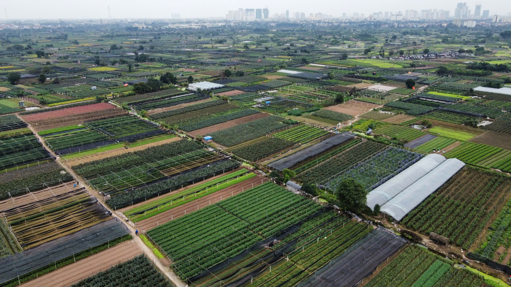 Cận cảnh siêu dự án tỷ đô 'treo' 17 năm, Chủ tịch Hà Nội lệnh khởi công trước ngày 2/9 ảnh 9