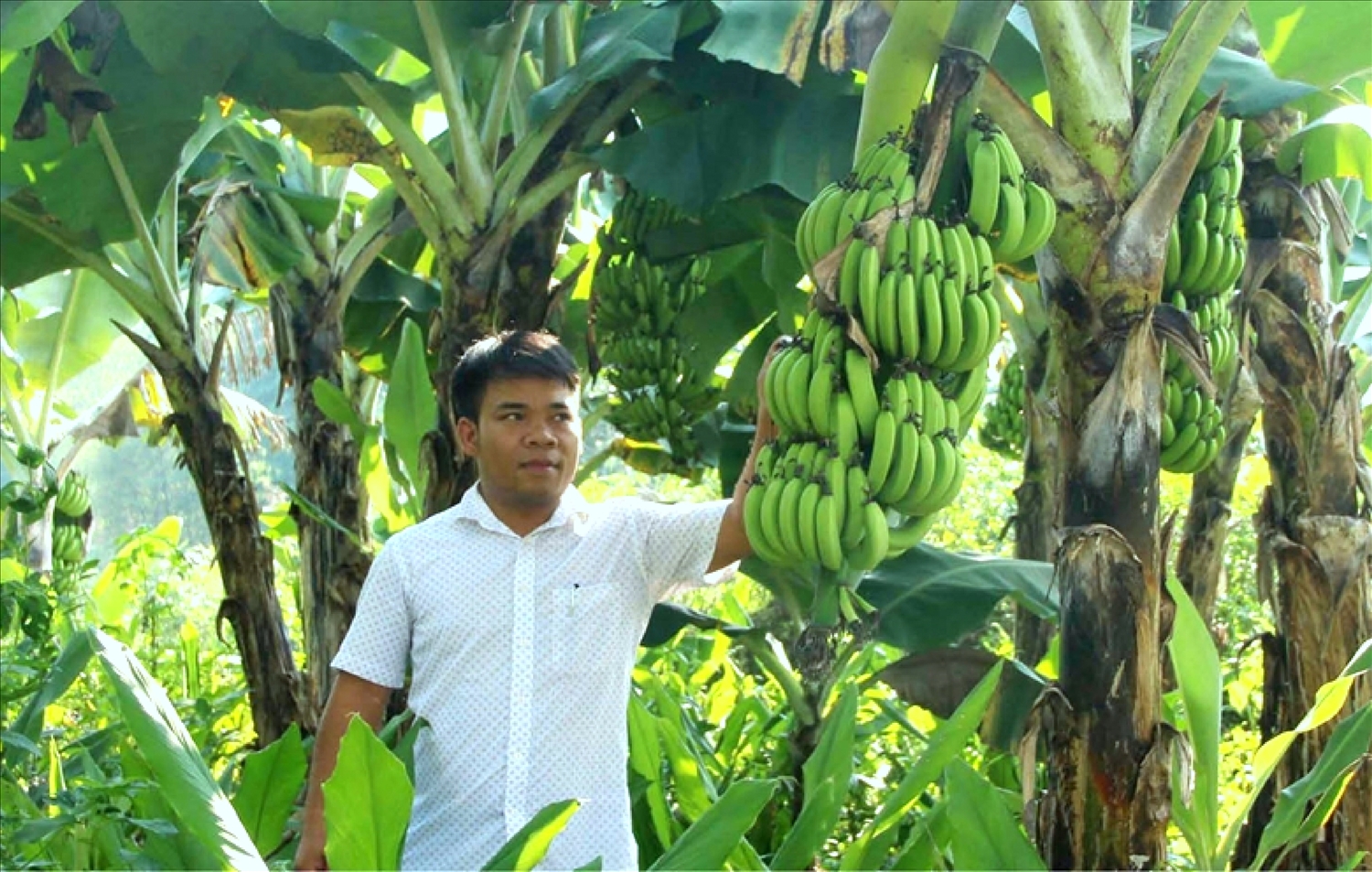 Anh Nguyễn Hải Teo với mô hình trang trại sinh học tuần hoàn mang lại hiệu quả kinh tế cao.