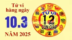 Tử vi hôm nay, xem tử vi 12 con giáp hôm nay ngày 10/3/2025: Tuổi Thân tài chính nhiều lộc may