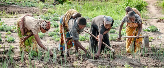 Phụ nữ tại Cộng hòa Dân chủ Congo vừa làm việc, vừa chăm sóc con cái nhưng nỗ lực của họ thường không được công nhận. (Ảnh: UN Women)