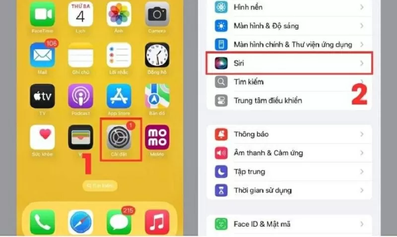 Mở ứng dụng Cài đặt và chọn Siri