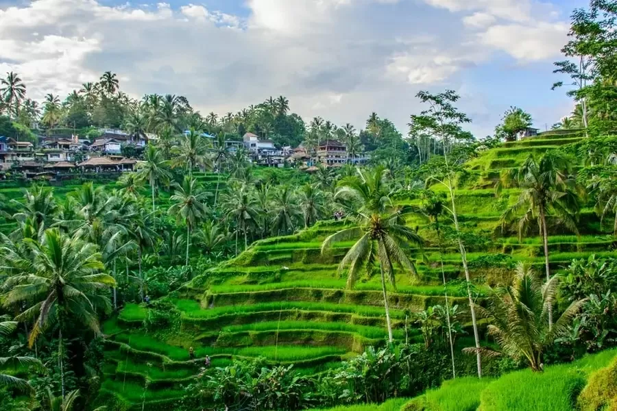 Du lịch Indonesia: Những điểm đến không nên bỏ lỡ