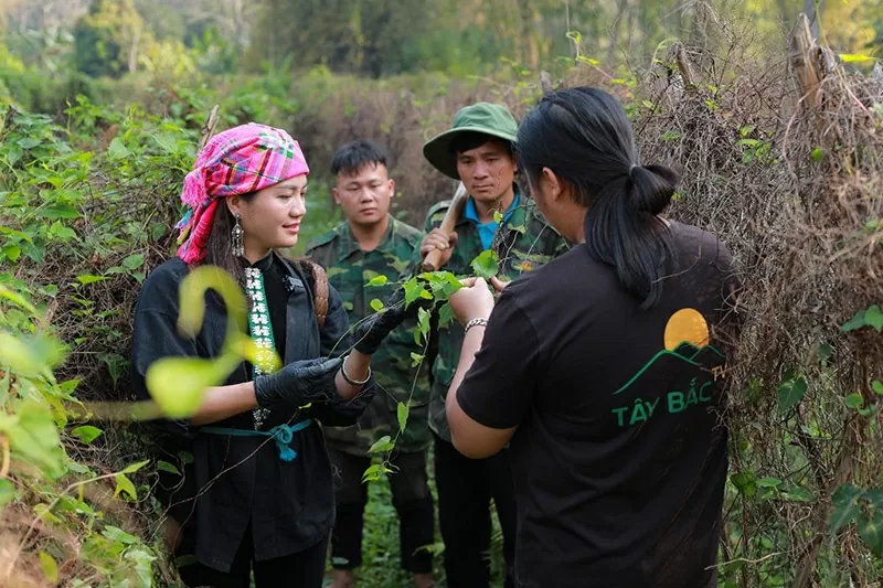 Từ núi rừng Tây Bắc đến nền tảng số: Cô gái Tây Bắc biến sản vật quê hương thành thương hiệu