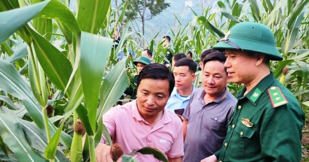 Ấm áp tình quân dân