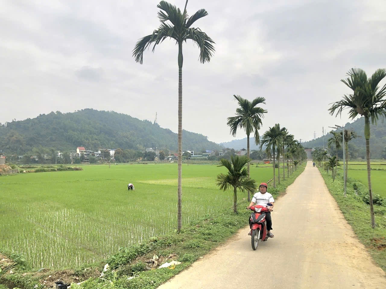 Đồng bào Công giáo ở Quang Kim chung tay xây dựng bản làng ngày một phát triển Đồng bào Công giáo ở Quang Kim chung tay xây dựng bản làng ngày một phát triển