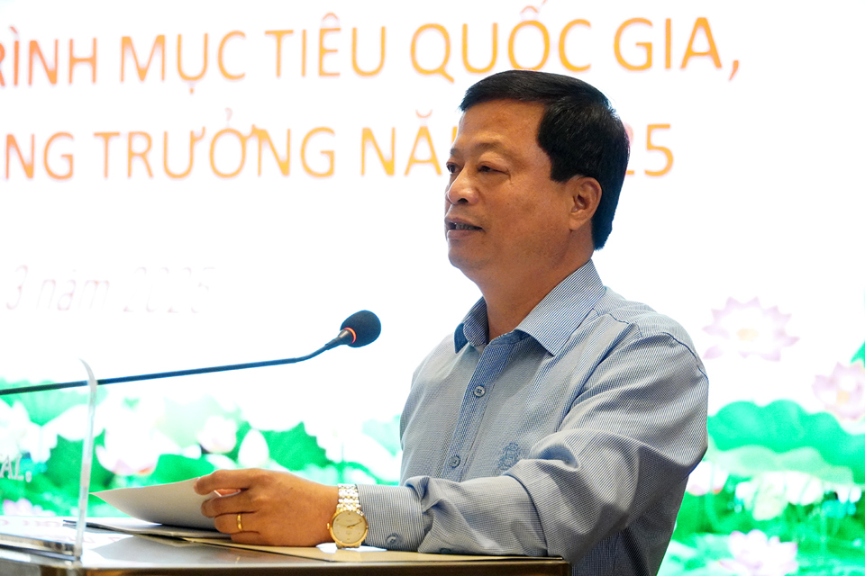 Ông Nguyễn Tuấn Thanh, Phó Chủ tịch UBND tỉnh Bình Định phát biểu tại buổi làm việc. Ảnh: Trung Nhân