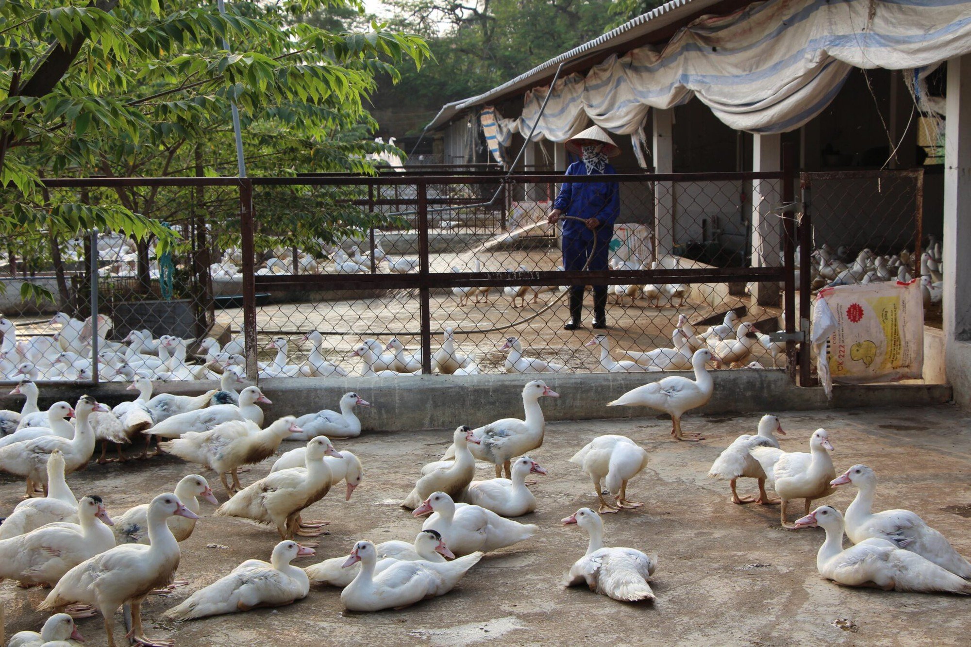 Nghị quyết 57 trong nông nghiệp: Thay đổi để 