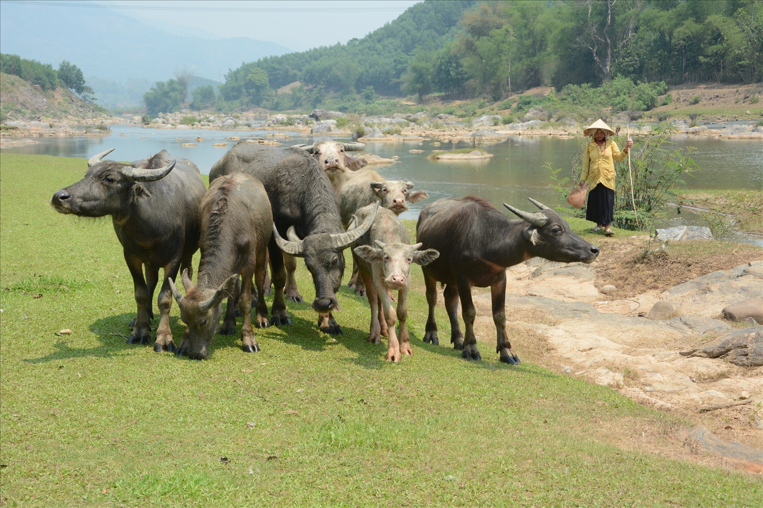 Bình yên bên Sông Re Bình yên bên Sông Re