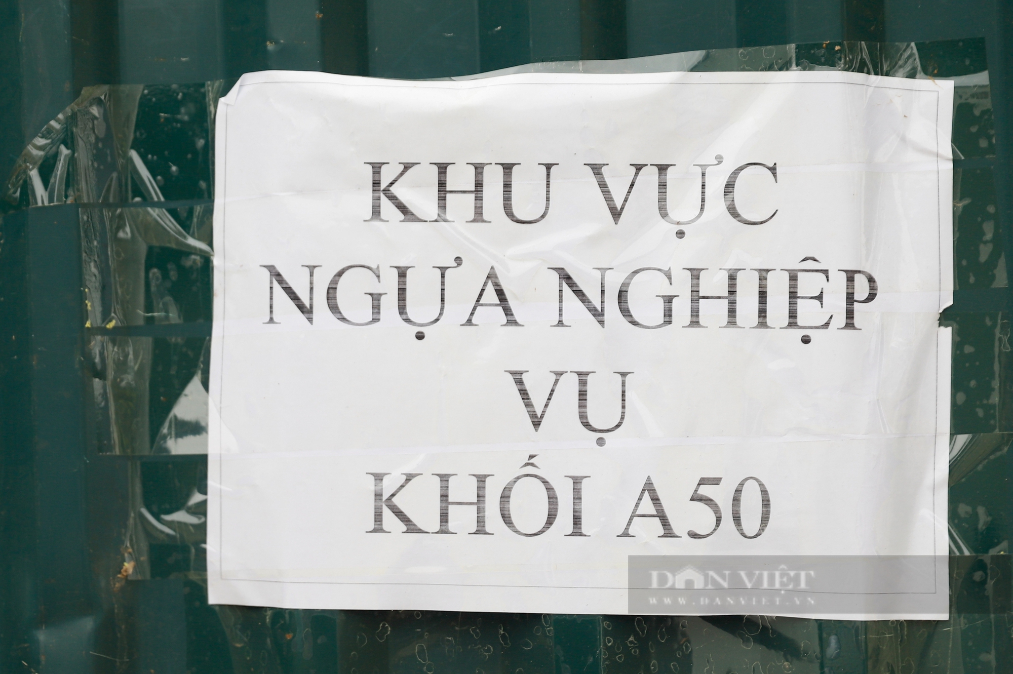 Ngựa của Cảnh sát cơ động Kỵ binh được chăm sóc như nào trước ngày vào TPHCM thực hiện nhiệm vụ?- Ảnh 3.