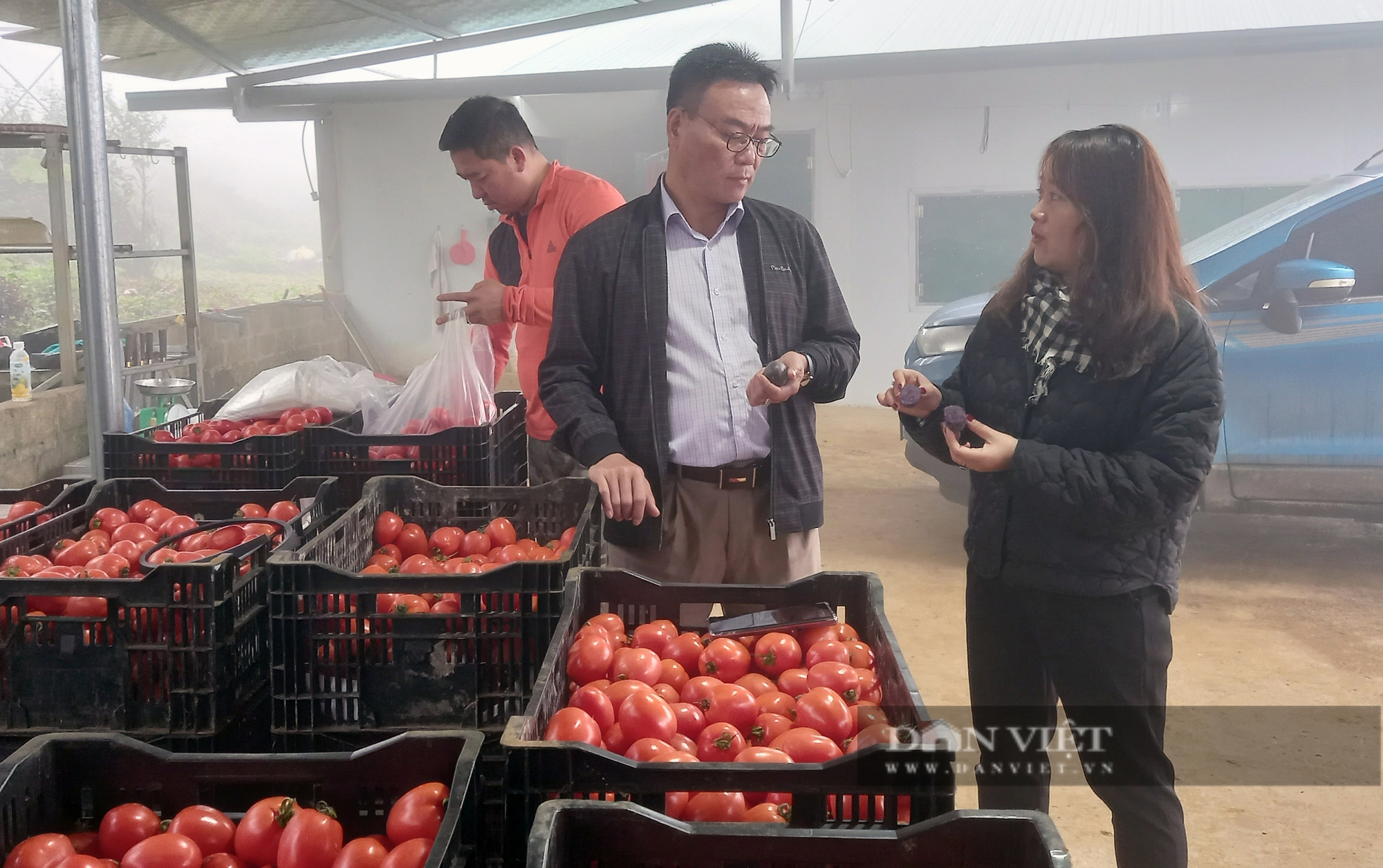 Làm nông nghiệp hữu cơ, một Hợp tác xã ở Hòa Bình vừa có doanh thu, lại tăng thu nhập cho nông dân - Ảnh 2.