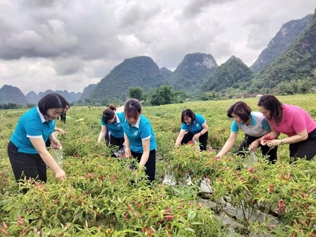 Bằng những hoạt động cụ thể, gắn với thực tiễn tại mỗi địa phương, Hội LHPN Cao Bằng đã đạt được nhiều kết quả khả quan trong công tác triển khai thực hiện Dự án 8. Bằng những hoạt động cụ thể, gắn với thực tiễn tại mỗi địa phương, Hội LHPN Cao Bằng đã đạt được nhiều kết quả khả quan trong công tác triển khai thực hiện Dự án 8.
