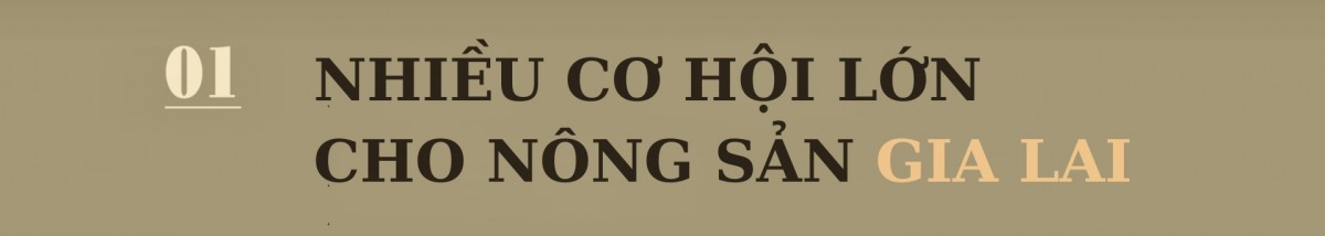 Nông sản Gia Lai làm gì để vào thị trường Nhật Bản?