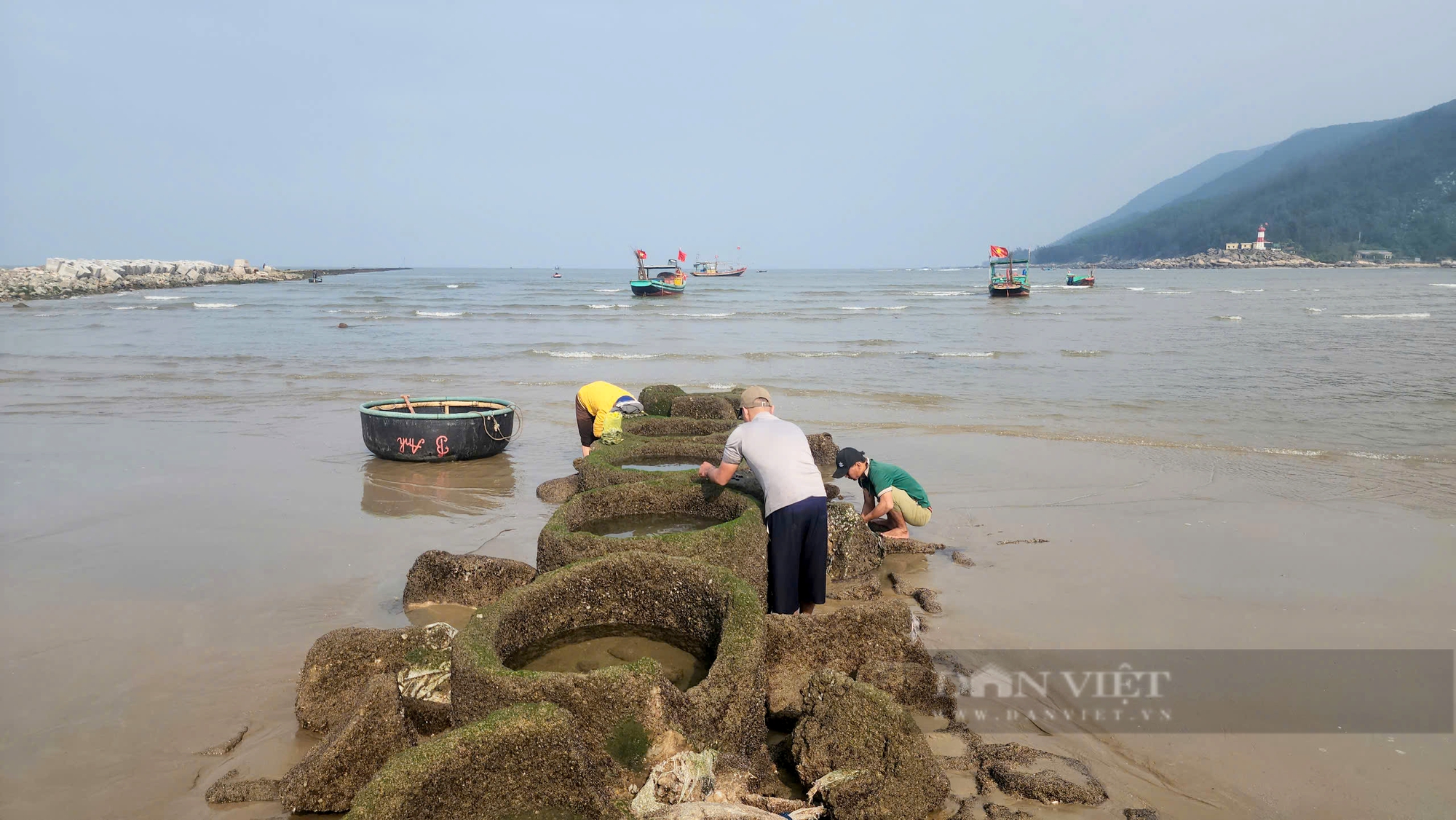 Cận cảnh bãi rêu xanh mướt dọc bờ kè biển Hà Tĩnh tựa như tuyệt tác thiên nhiên mùa xuân - Ảnh 5.