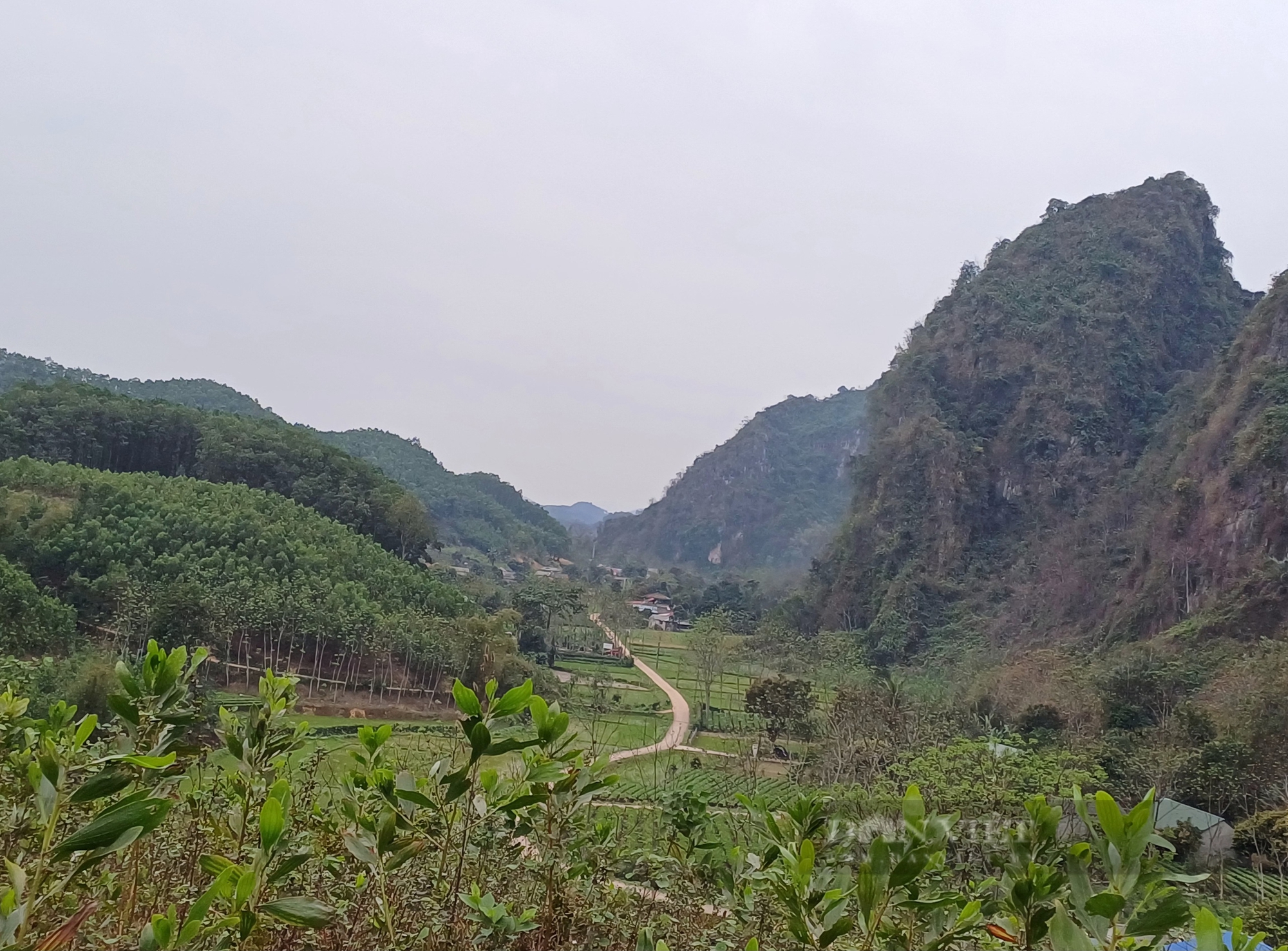 Tìm hướng đi riêng trong nông nghiệp, thanh niên trẻ Thái Nguyên biến thách thức thành cơ hội - Ảnh 5.