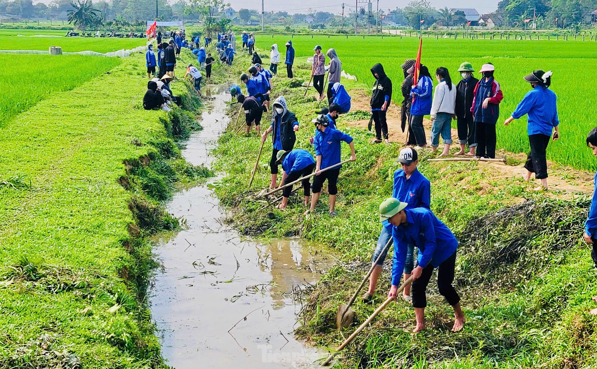 Tuổi trẻ Nghệ An với những phần việc ý nghĩa trị giá hàng tỉ đồng ảnh 12