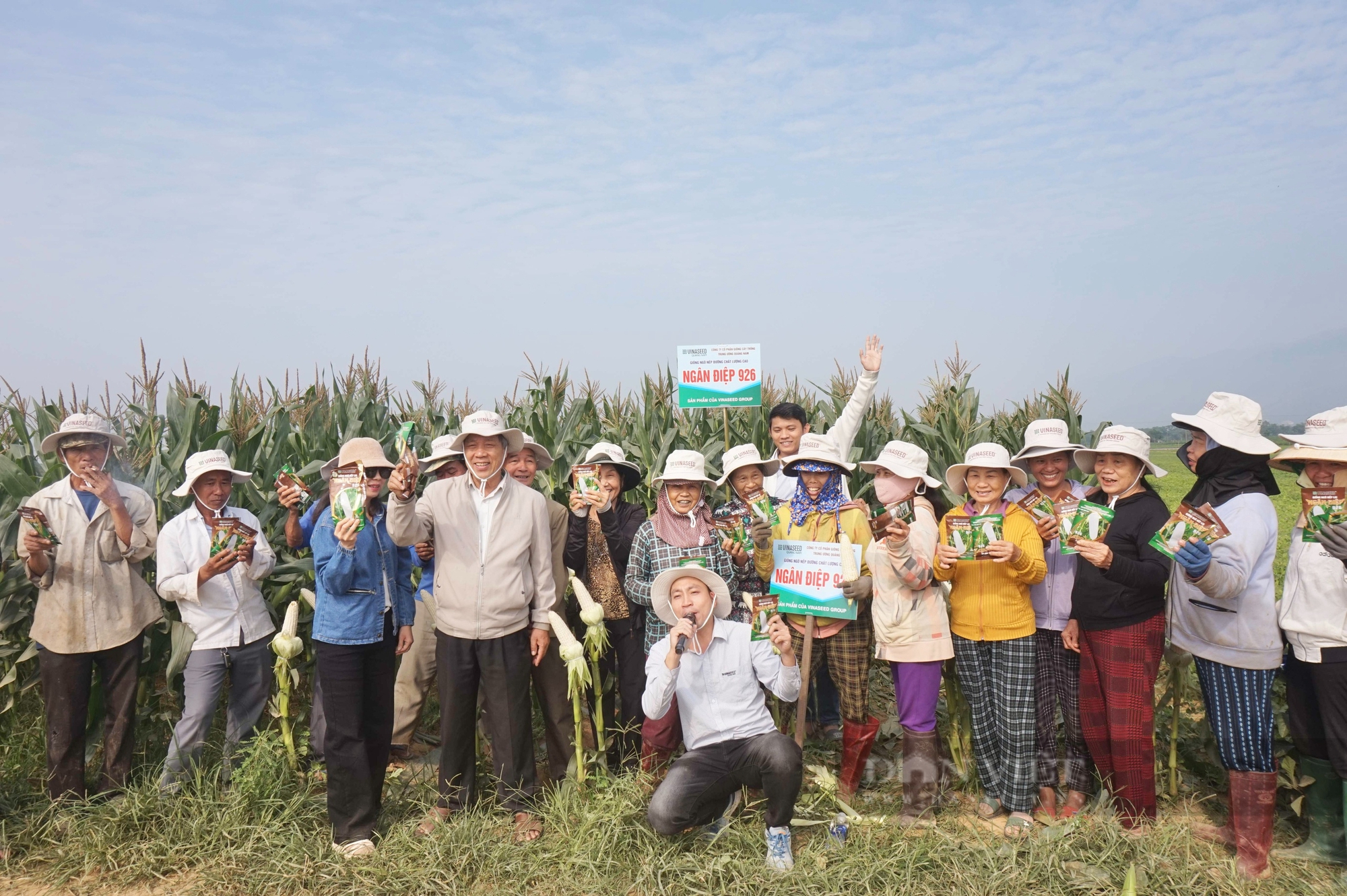 Trồng giống ngô nếp siêu ngọt, nông dân Quảng Nam thu lãi 7 triệu đồng/sào - Ảnh 10.